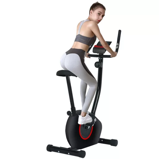 Fitness rotoped