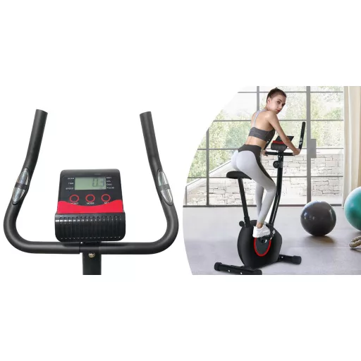 Fitness rotoped