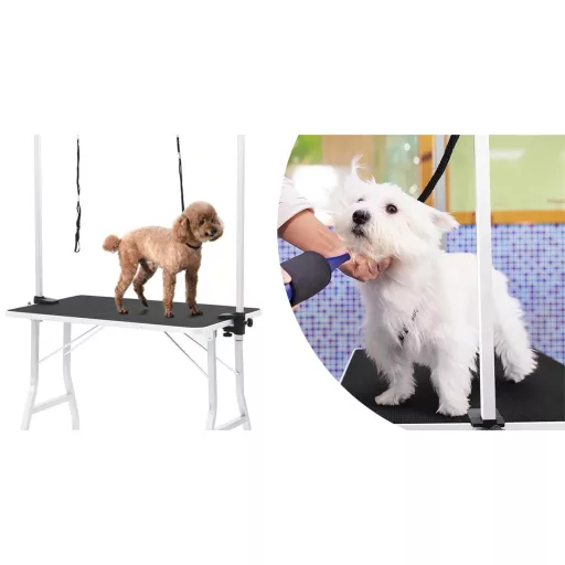 Veterinární stůl se dvěma vodítky