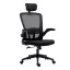 Ergonomická kancelářská židle s bederní opěrkou a opěrkou hlavy, černá 