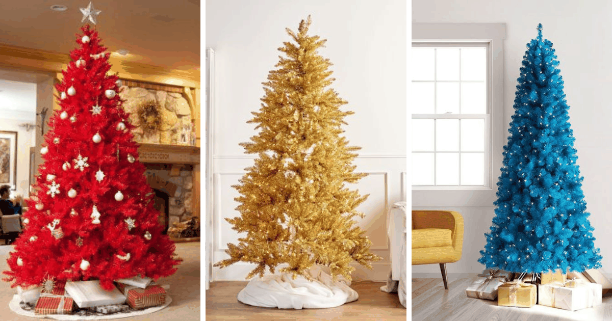 Basketbalová deska: trénujte i doma!